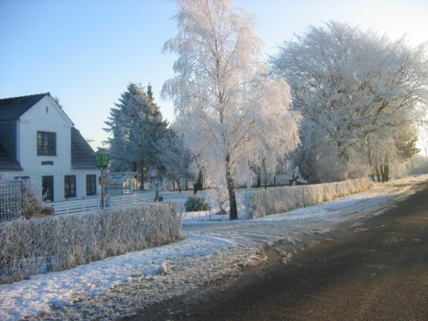 Winter in Denmark.